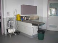 Condamine Veterinary Clinic image 5