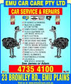 Emu Car Care image 5