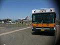 Golden Eagle Transport Bus & Coach image 2