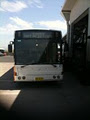 Golden Eagle Transport Bus & Coach image 3
