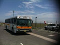 Golden Eagle Transport Bus & Coach image 4