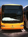 Golden Eagle Transport Bus & Coach image 1