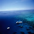 Great Adventures Reef & Green Island Cruises, Tours image 2