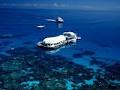 Great Adventures Reef & Green Island Cruises, Tours image 3