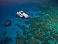 Great Adventures Reef & Green Island Cruises, Tours image 4