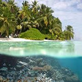 Great Barrier Reef Holiday image 4