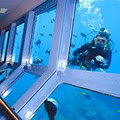 Great Barrier Reef Holiday image 6