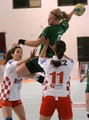 Handball Association of Victoria image 3