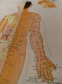 Inside Out Acupuncture image 3