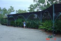 Jurassic Cycad Gardens. Tourist. image 1