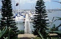Keppel Bay Marina image 4