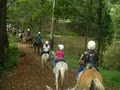 Kiah Park Horse Riding Camp image 5
