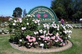 Morwell Centenary Rose Garden image 2
