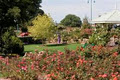 Morwell Centenary Rose Garden image 4
