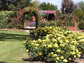 Morwell Centenary Rose Garden image 5