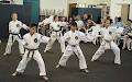 N.T Tang Soo Do Karate Academy image 3