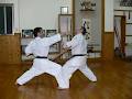 Okinawa Shorin-ryu Karate-do image 1