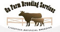 On Farm Breeding Services logo