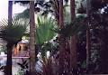Palm Royale Cairns image 6