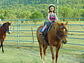 Port Douglas Horse Riding logo