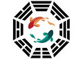 Qi Medicine logo