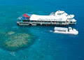 Reef Magic Cruises logo