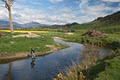 RiverFly Tasmania image 1