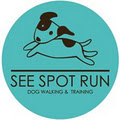 See Spot Run - Dog Training & Walking Services image 1