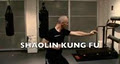 Shaolin 1 on 1 - Personal Martial Arts Training image 6