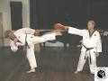 Southern Cross Taekwondo Academy logo