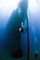 Sunreef Scuba Diving Services image 3