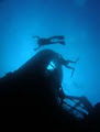 Sunreef Scuba Diving Services image 4