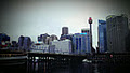 Sydney Tower Buffet image 4