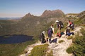 Tasmanian Expeditions image 1