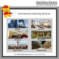Teddyclean Commercial Cleaning Services logo