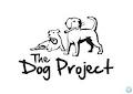 The Dog Project image 6