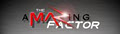 The a.M.A.Z.i.n.g. Factor Transformational Program Facilitator logo