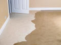 TileCarpetcleaning Professionals image 5