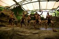 Tjapukai Aboriginal Cultural Park image 4