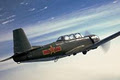 Warbird Air Adventures image 3