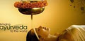 Yoga Ayurveda Wellness Clinic-Weight Loss, Hair Loss, Diabetes Treatment image 3