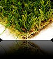 A1 Synthetic Turf Supplies image 5