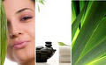 AGAVE HOLISTIC DAY SPA AND BEAUTY image 2