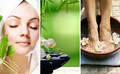 AGAVE HOLISTIC DAY SPA AND BEAUTY logo