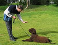 Adelaide Canine Training image 3