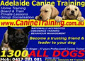 Adelaide Canine Training image 5