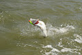 Adrenalin Barra and Billfish Safaris image 6