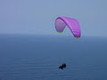 Adventure Plus Paragliding image 5