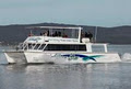 Albany Ocean Adventures / Albany Dolphin & Whale Cruises / Silver Star Cruises image 1