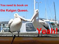 Albanys Riverboat Kalgan Queen Scenic Cruises image 2